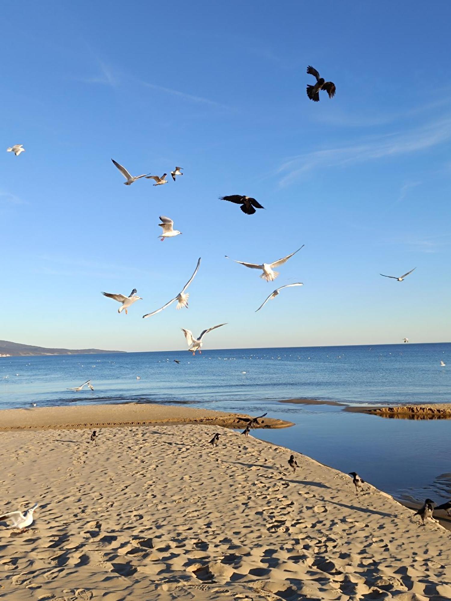 Pomorie Chaika Home Εξωτερικό φωτογραφία